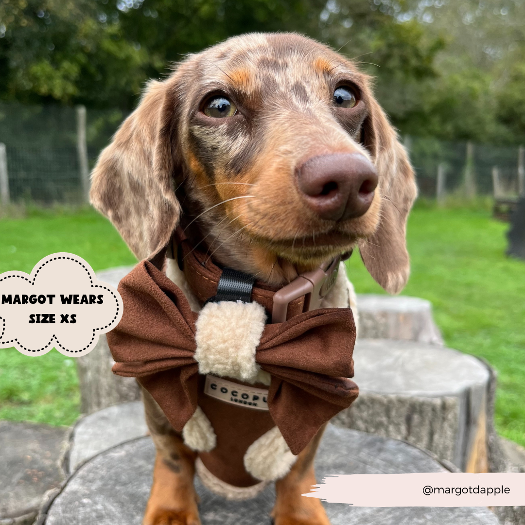 Brown Aviator Adjustable Neck Harness