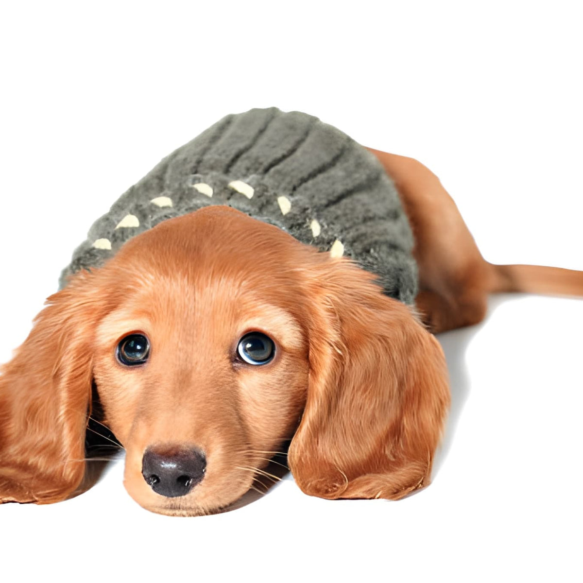 NOS CRÉATIONS TECKELS