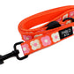 Pink Checkered Daisies: DOG LEASH