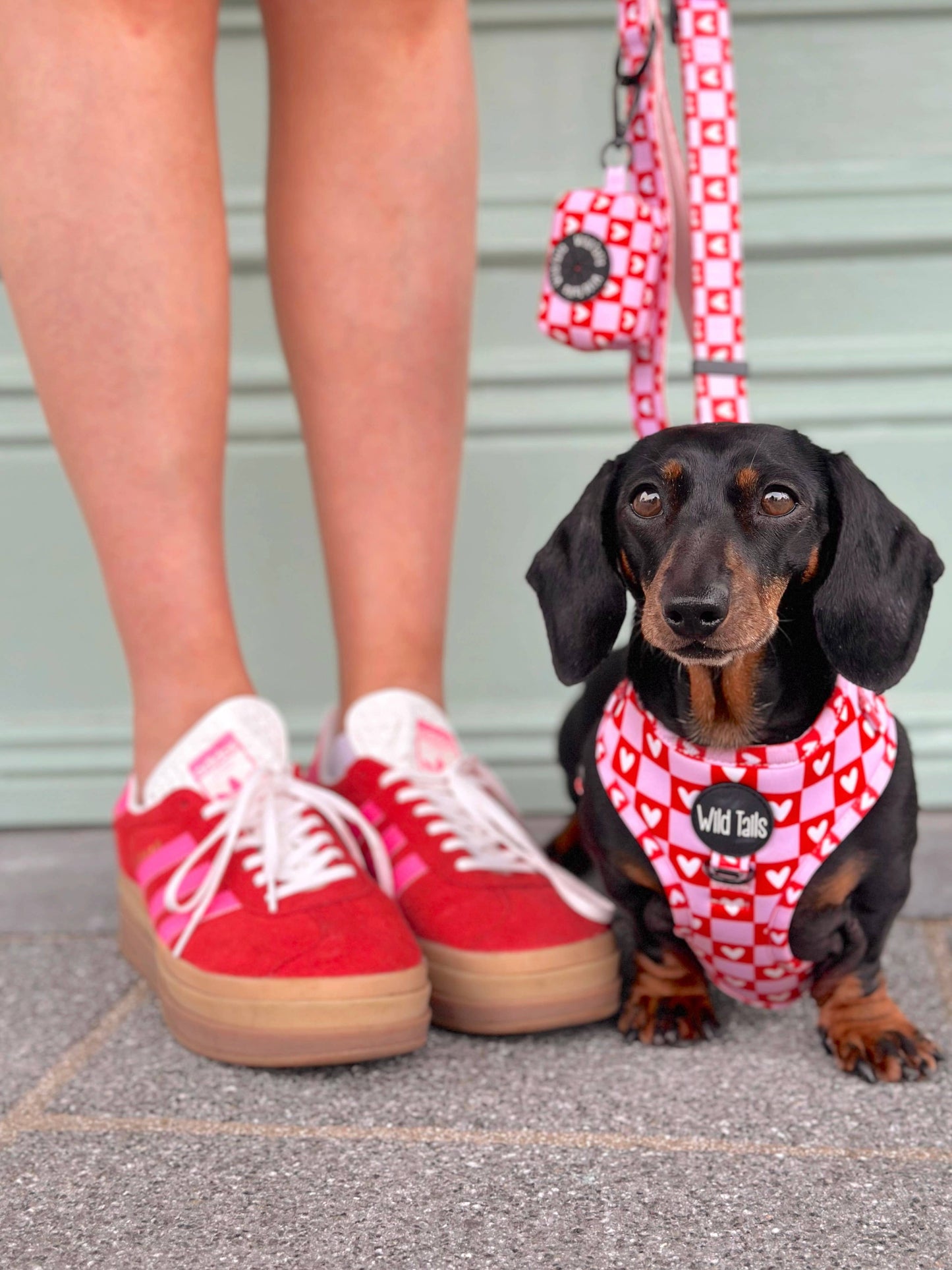 Love Letters Harness