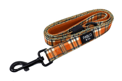 Plaid vintage : laisse pour chien