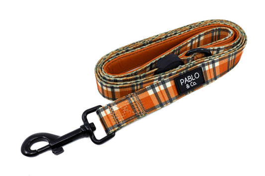 Vintage Plaid: Dog Leash