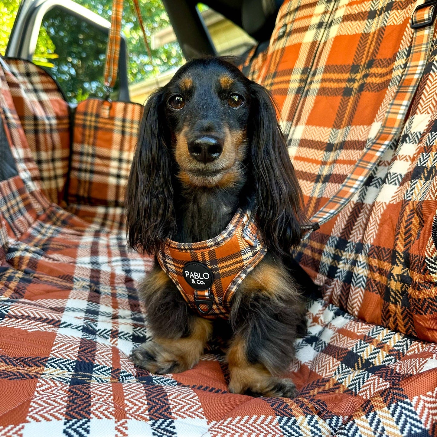 Vintage Plaid: Adjustable Dog Harness