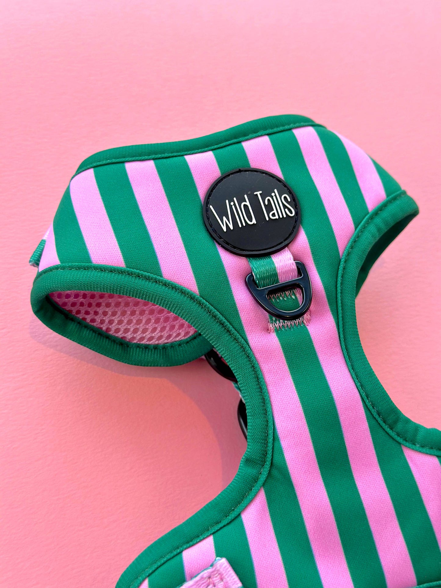 All Decked Out Harness