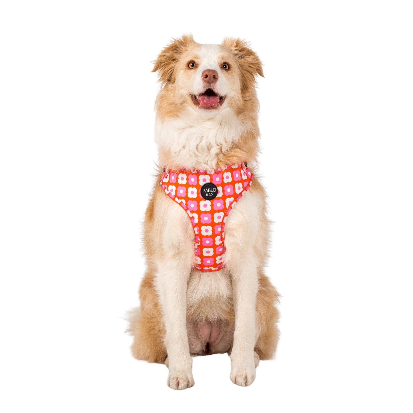 Pink Checkered Daisies: ADJUSTABLE DOG HARNESS