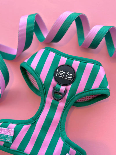 Harnais tout équipé