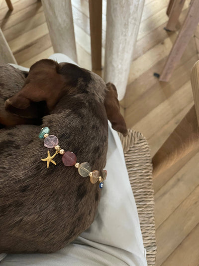 Collier de perles Calypso pour chiens et chats