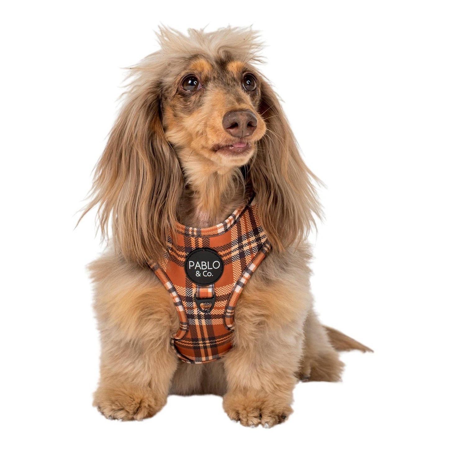 Vintage Plaid: Adjustable Dog Harness