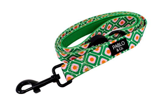 70's style: Dog Leash