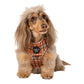 Vintage Plaid: Adjustable Dog Harness