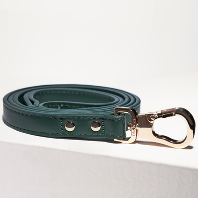 LAISSE - Vert bouteille