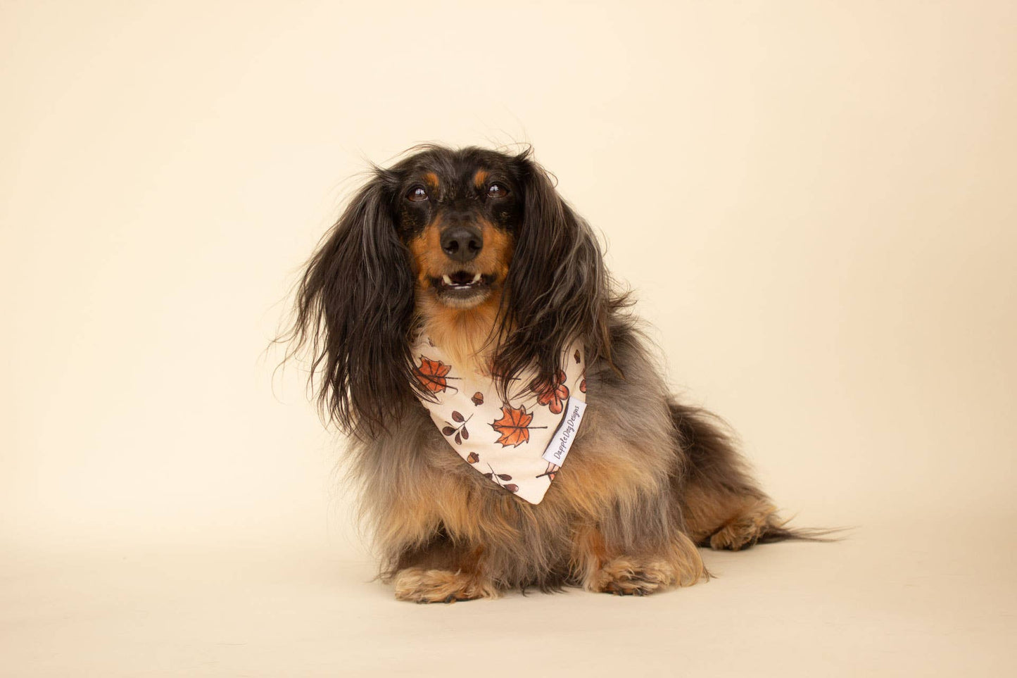 Falling Leaves Bandana