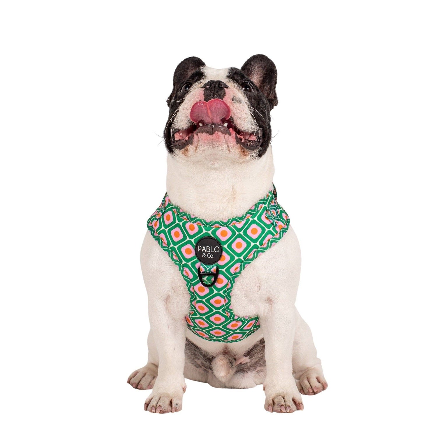 70's Style: Adjustable Dog Harness