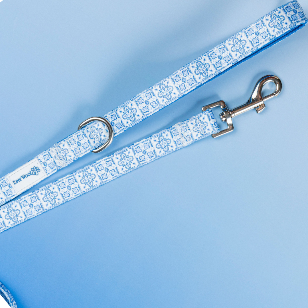 NEW Santorini Leash