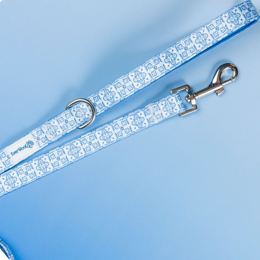 NEW Santorini Leash