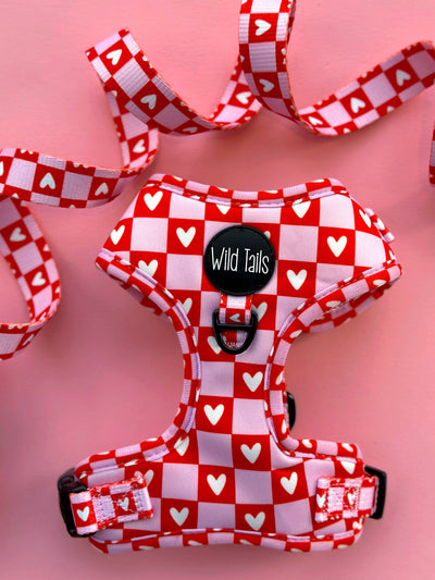 Harnais de lettres d'amour