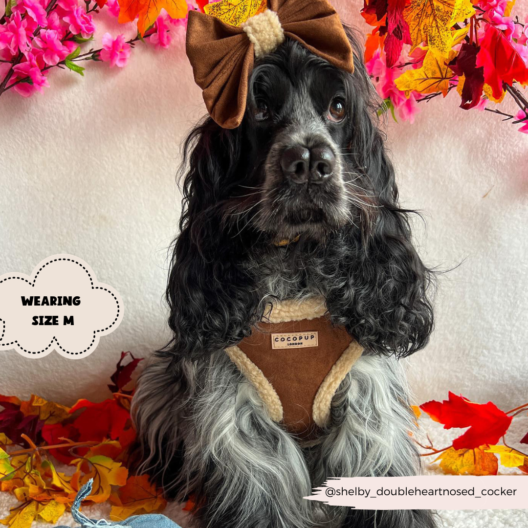 Brown Aviator Adjustable Neck Harness