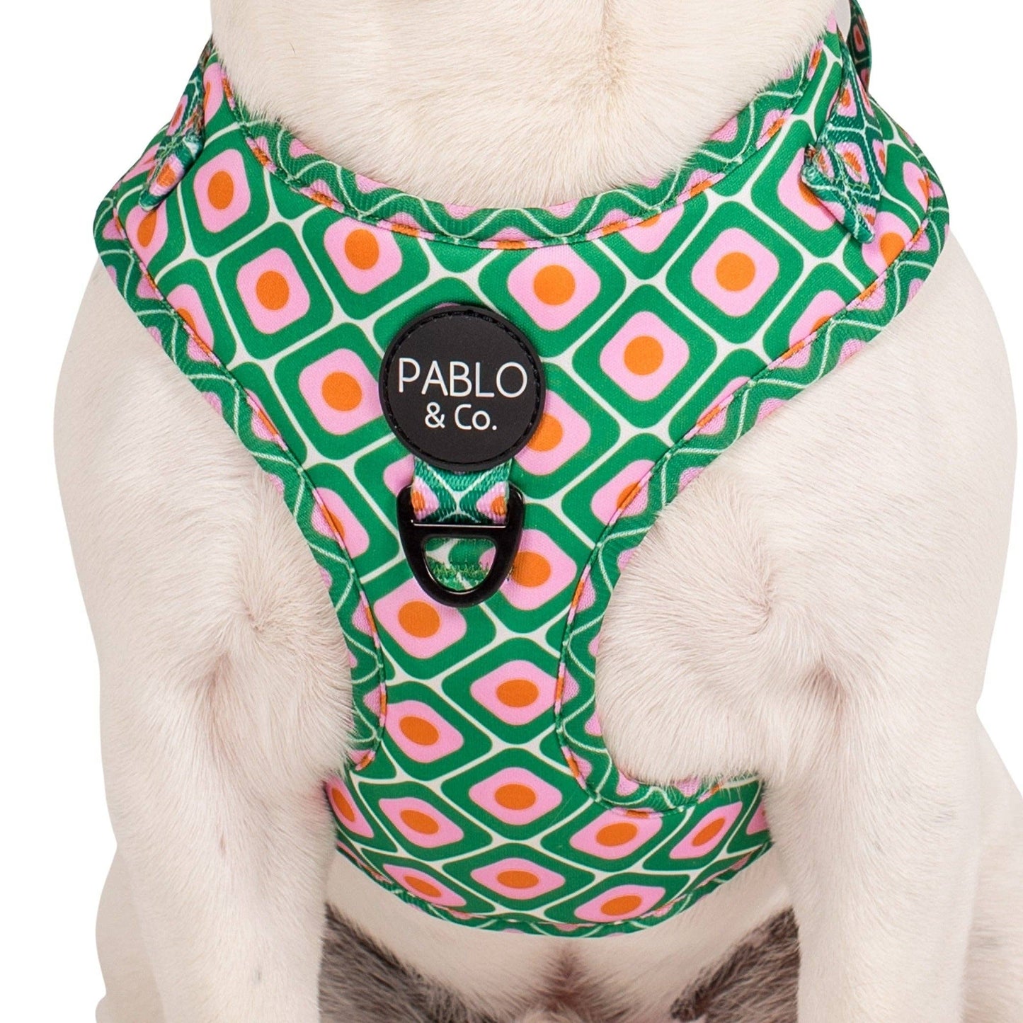 70's Style: Adjustable Dog Harness