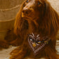 Bandana-Collier marron Cairo Rider pour chien et chat