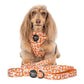 Retro Dazie: Dog Leash