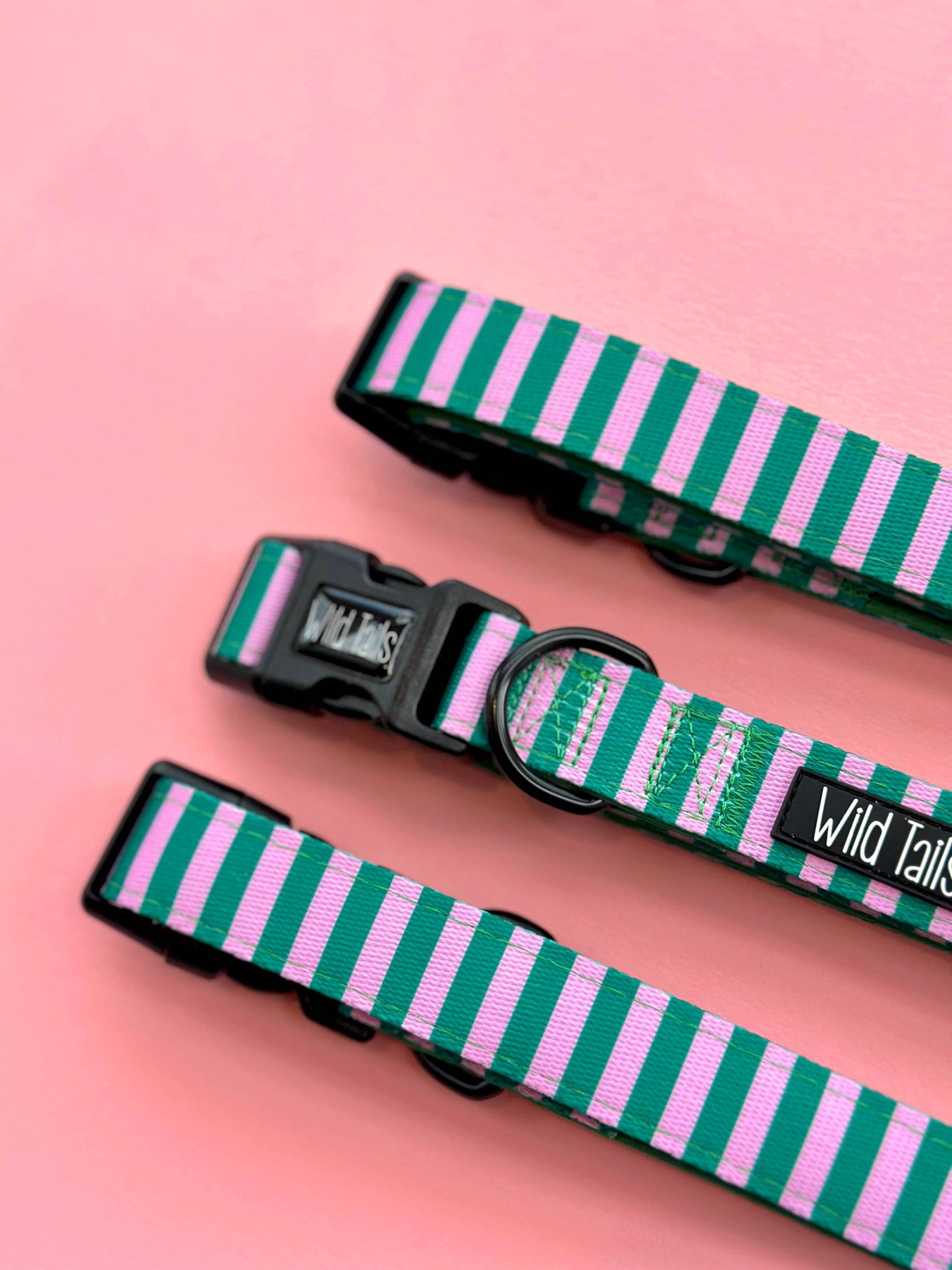 All Decked Out Collar