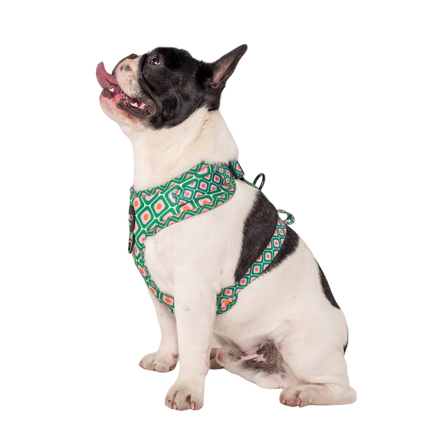 70's Style: Adjustable Dog Harness