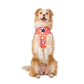 Pink Checkered Daisies: ADJUSTABLE DOG HARNESS