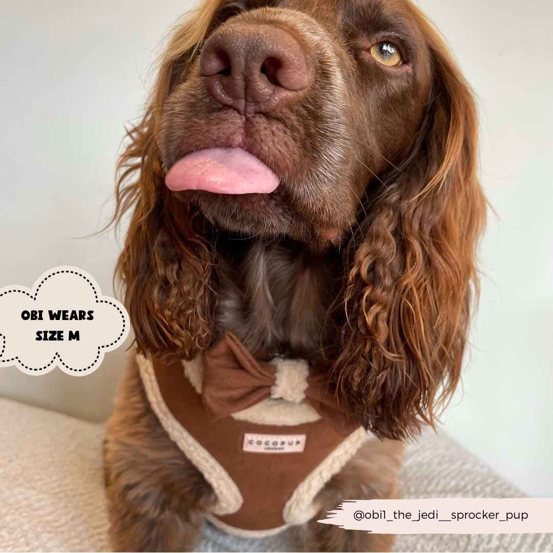 Brown Aviator Adjustable Neck Harness