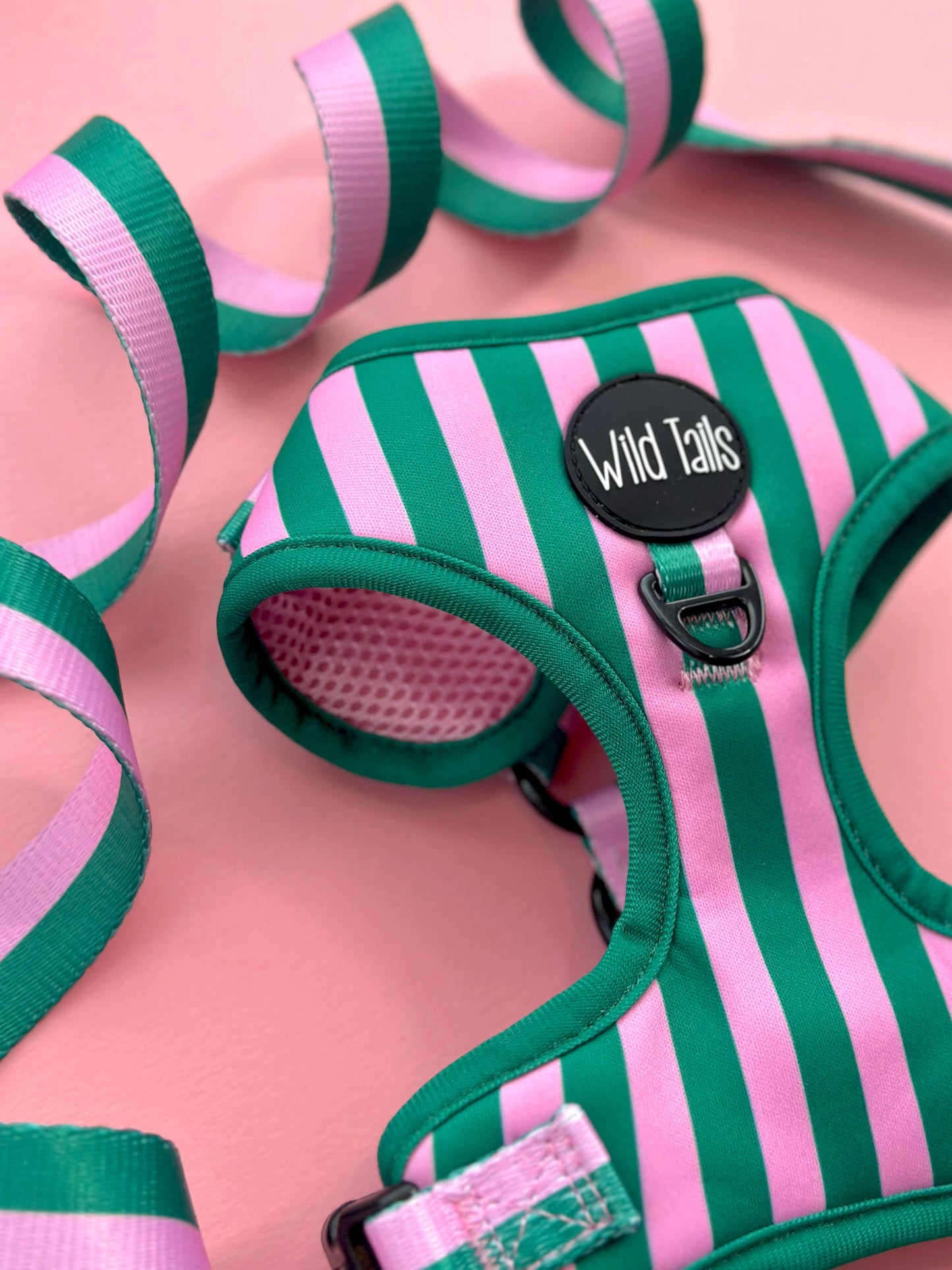 All Decked Out Harness