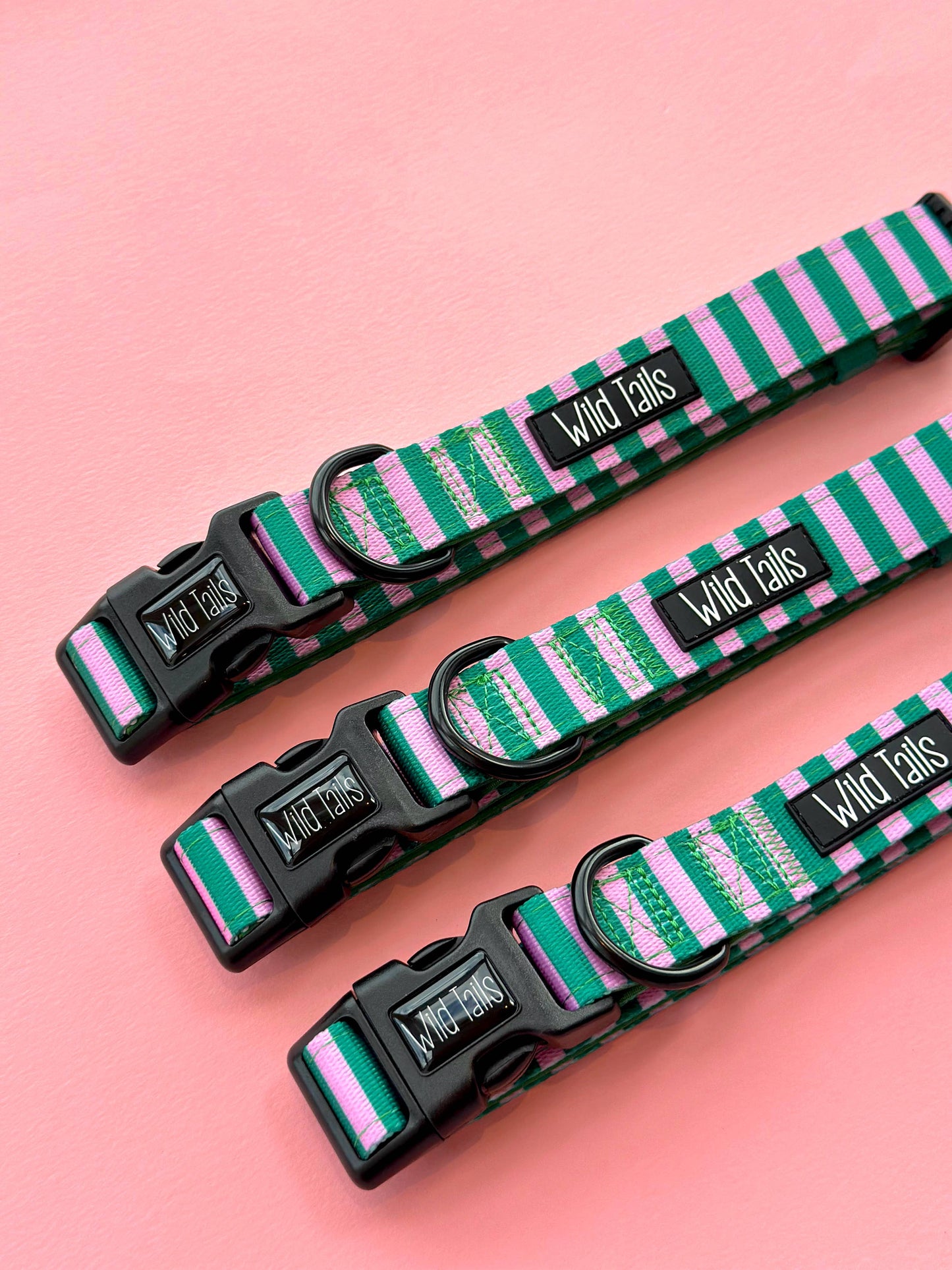 All Decked Out Collar