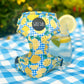 Lemon Squeezy Harness