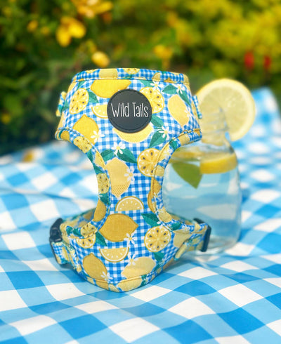 Harnais à presser au citron