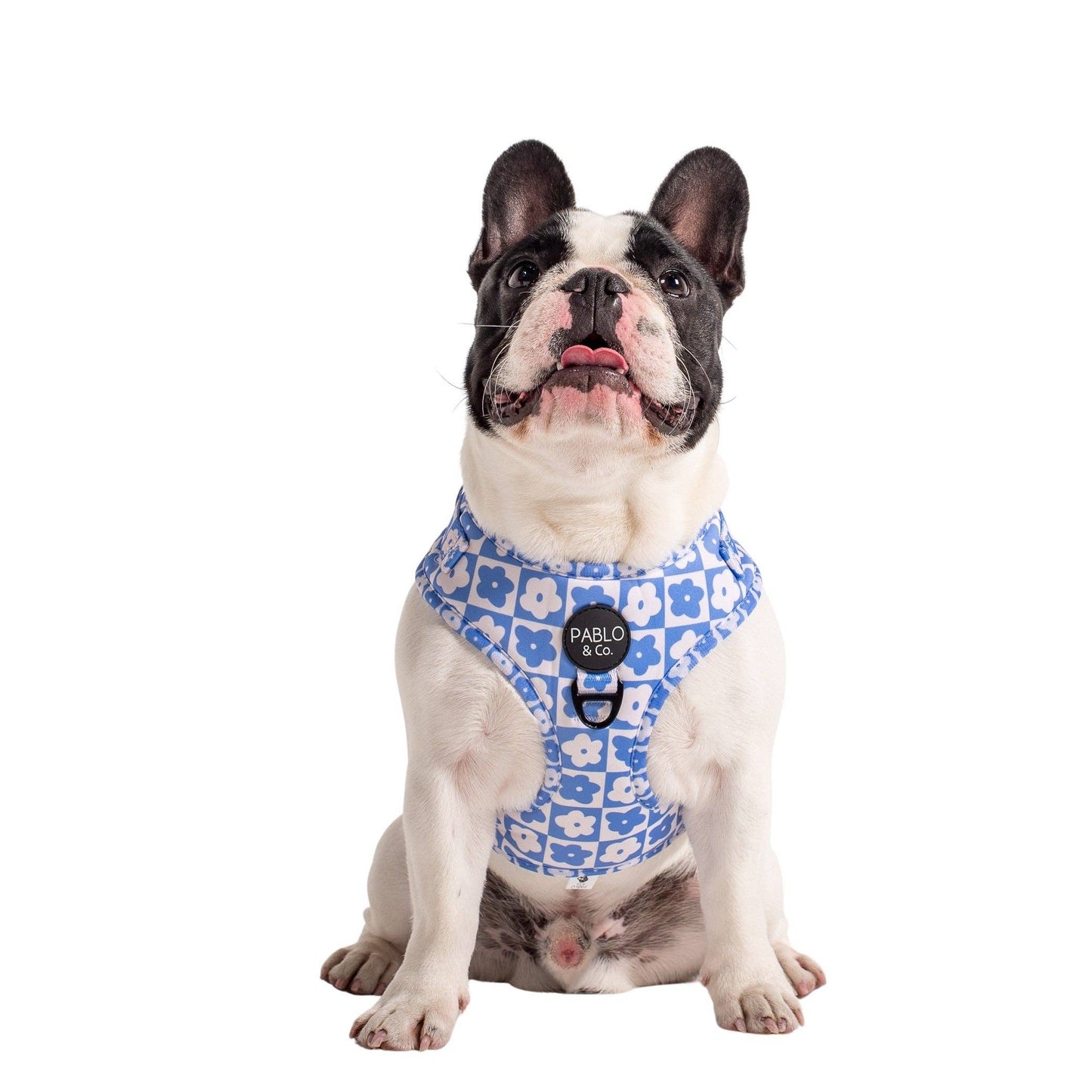 Blue Checkered Daisies: ADJUSTABLE DOG HARNESS