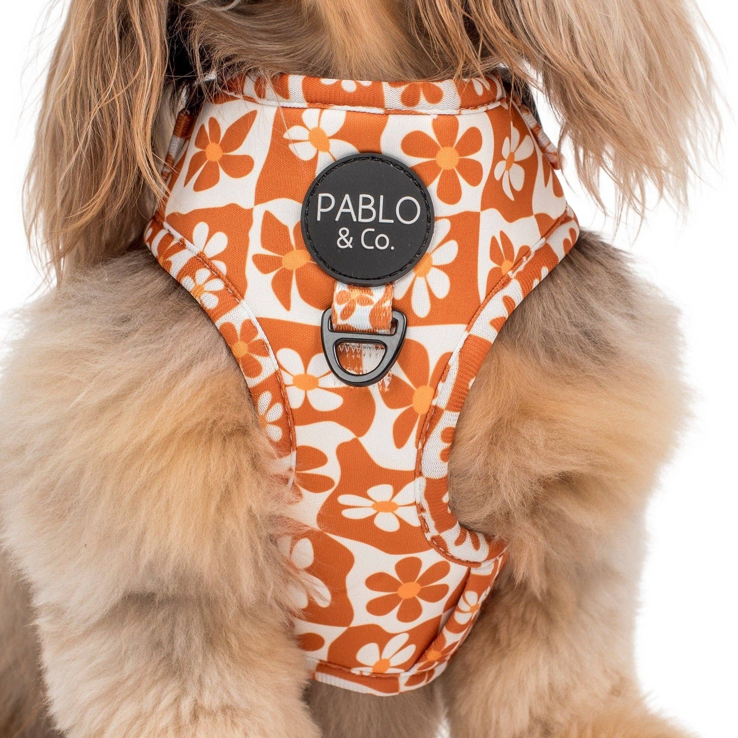 Retro Dazie: Adjustable Dog Harness