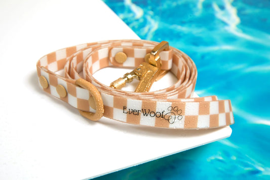 Check Me Out Waterproof Leash